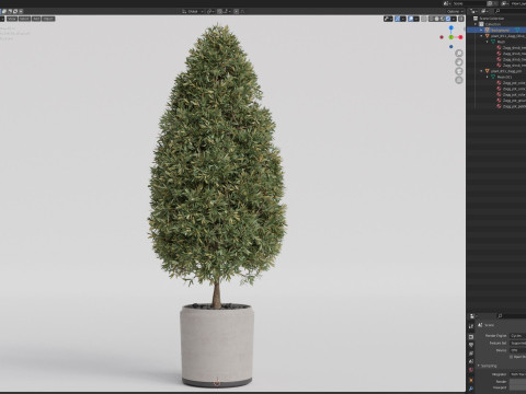 Plants collection 851 Modèle 3D