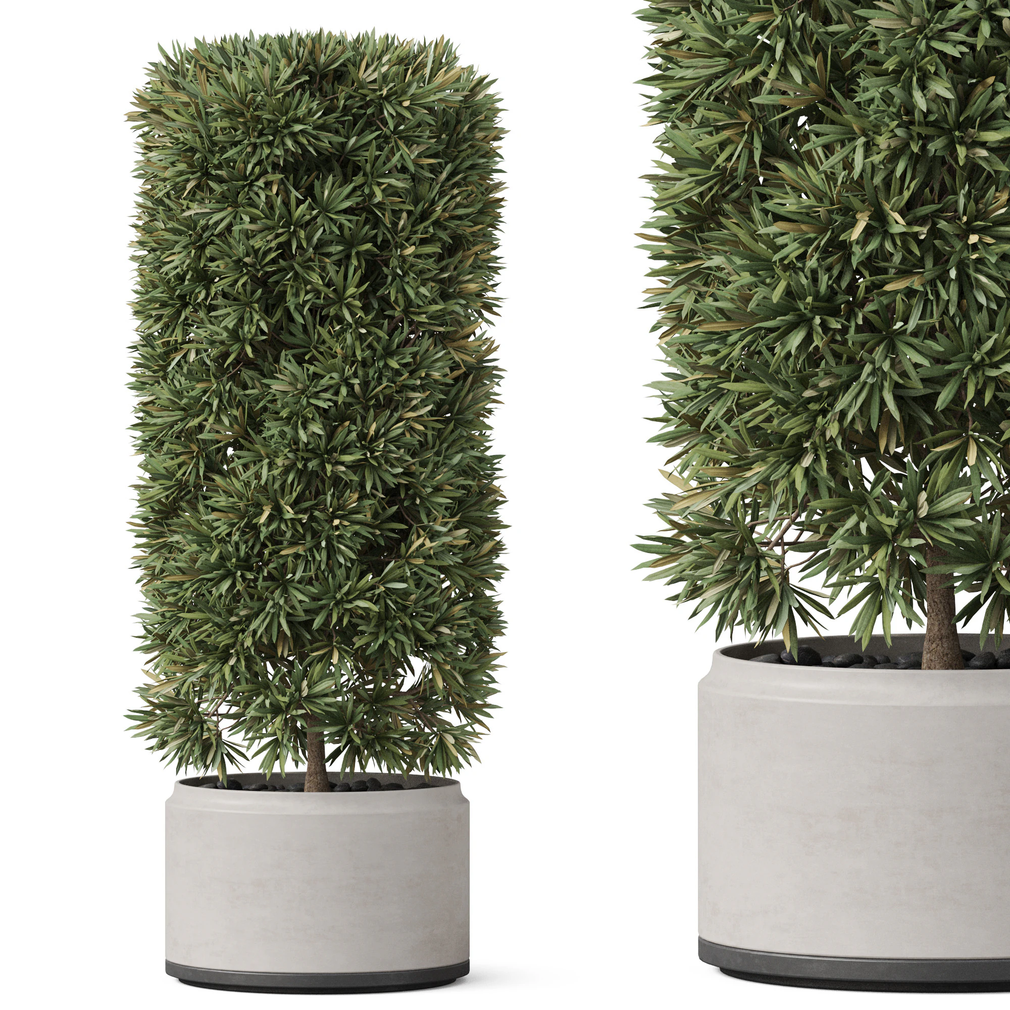 Plants collection 852 3D Model .c4d .max .obj .3ds .fbx .stl .blend