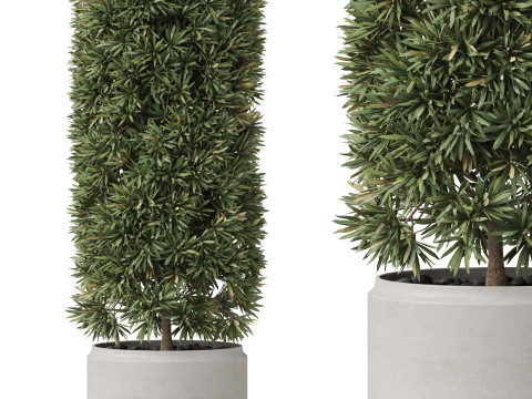 Plants collection 852 3D 模型