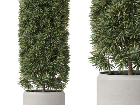 पौधों का संग्रह 852 3D मॉडल