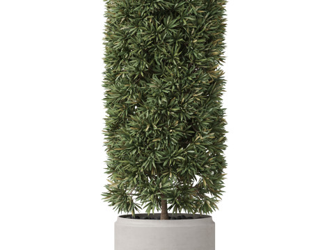 Plants collection 852 3D Модель