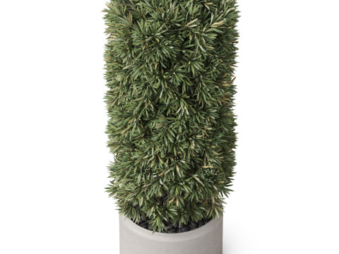 Plants collection 852 3D Модель