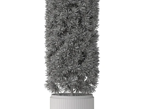 Plants collection 852 3D Model