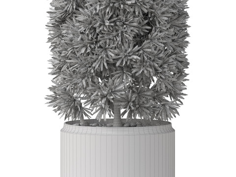 Plants collection 852 3D Модель