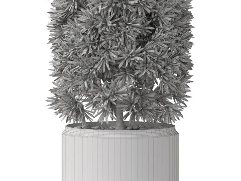 Plants collection 852 3D Model