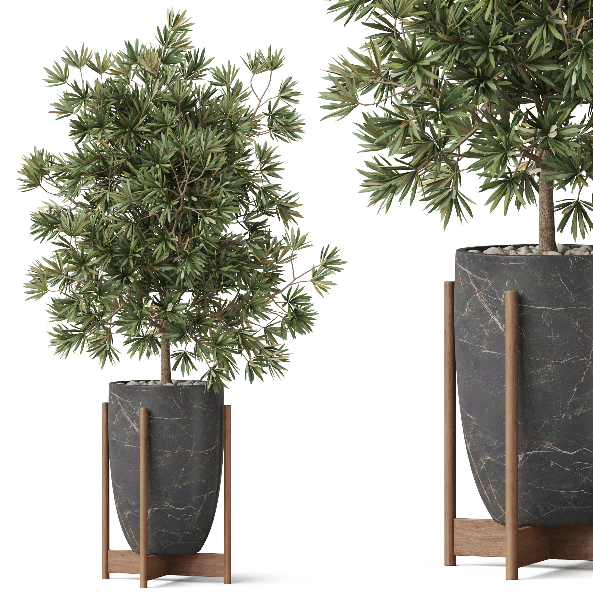 Plants collection 853 3D Model .c4d .max .obj .3ds .fbx .stl .blend 