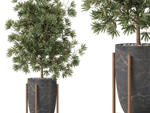 Plants collection 853 Modèle 3D