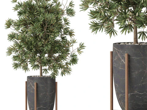 पौधों का संग्रह 853 3D मॉडल