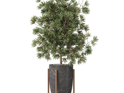 Plants collection 853 Modelo 3D