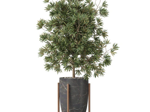 Plants collection 853 3D Model