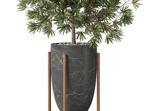 Plants collection 853 3D Model