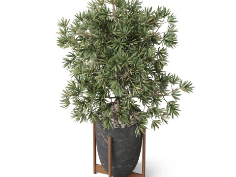 Plants collection 853 3D Model