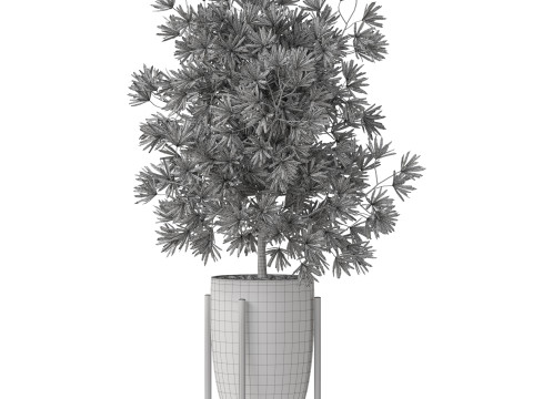 Plants collection 853 Modelo 3D