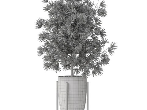 Plants collection 853 3D Model