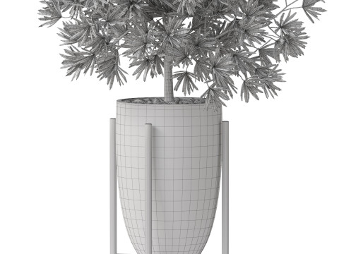 Plants collection 853 Modelo 3D