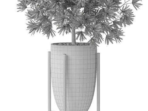 Plants collection 853 3D Model
