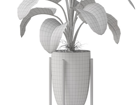Plants collection 854 3D Model