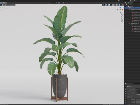 Plants collection 854 3D Model