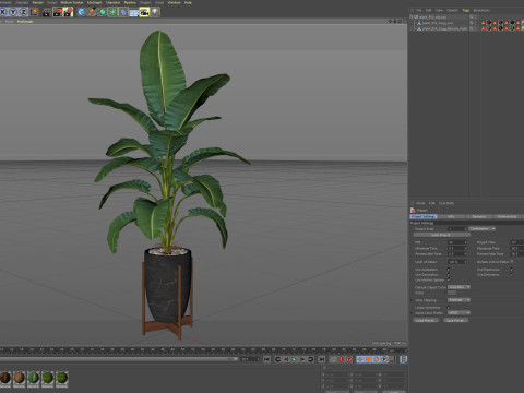 Plants collection 854 3D Model