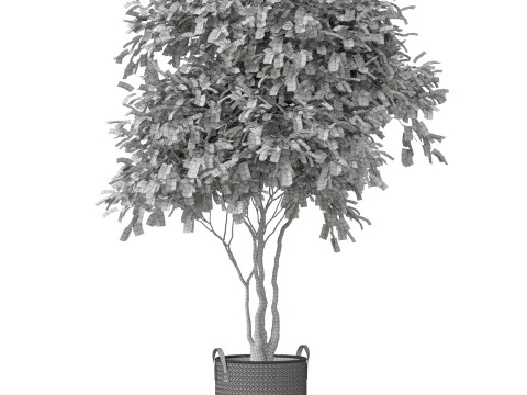 Plants collection 855 3D Model