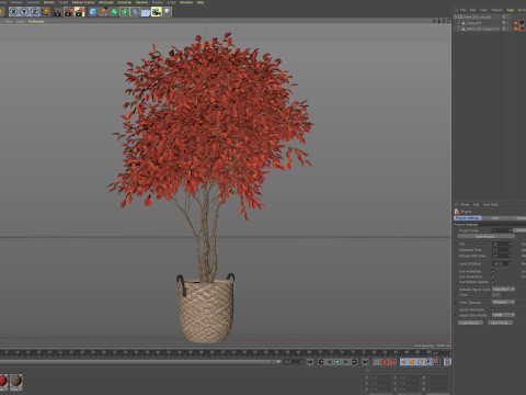 Plants collection 855 3D Model