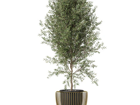 Plants collection 856 3D Model