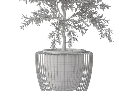 Plants collection 856 3D Model