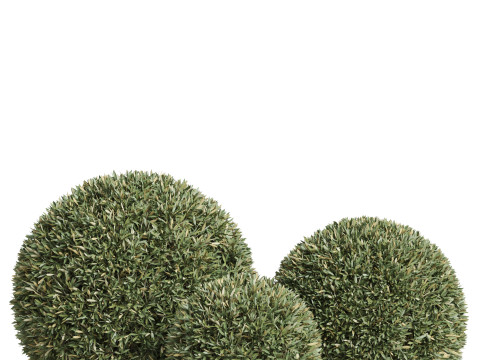Plants collection 857 3D Model