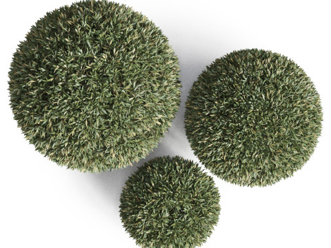 Plants collection 857 3D Model