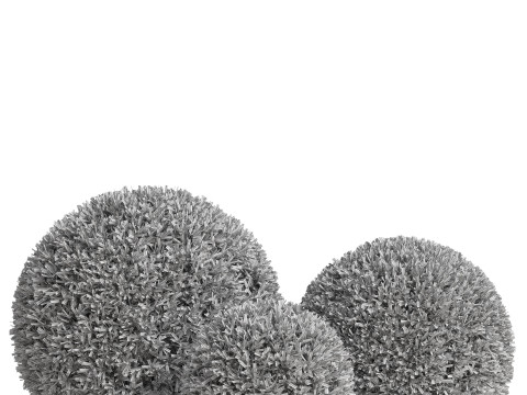 Plants collection 857 3D Model