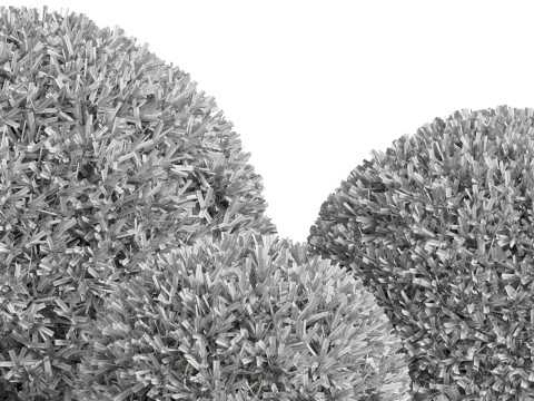 Plants collection 857 3D Model