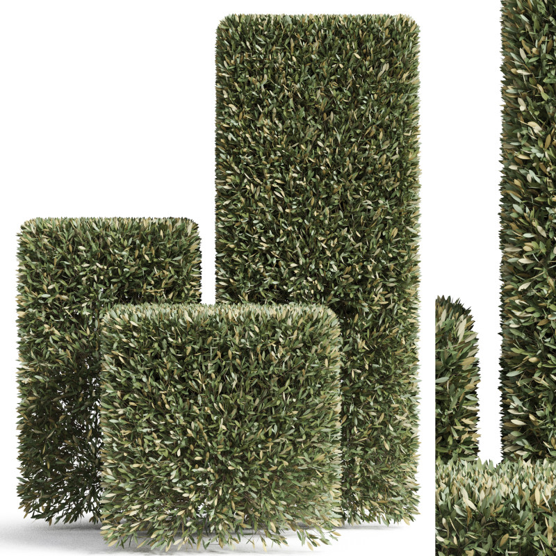 Plants collection 858 Modelo 3D .c4d .max .obj .3ds .fbx .stl .blend