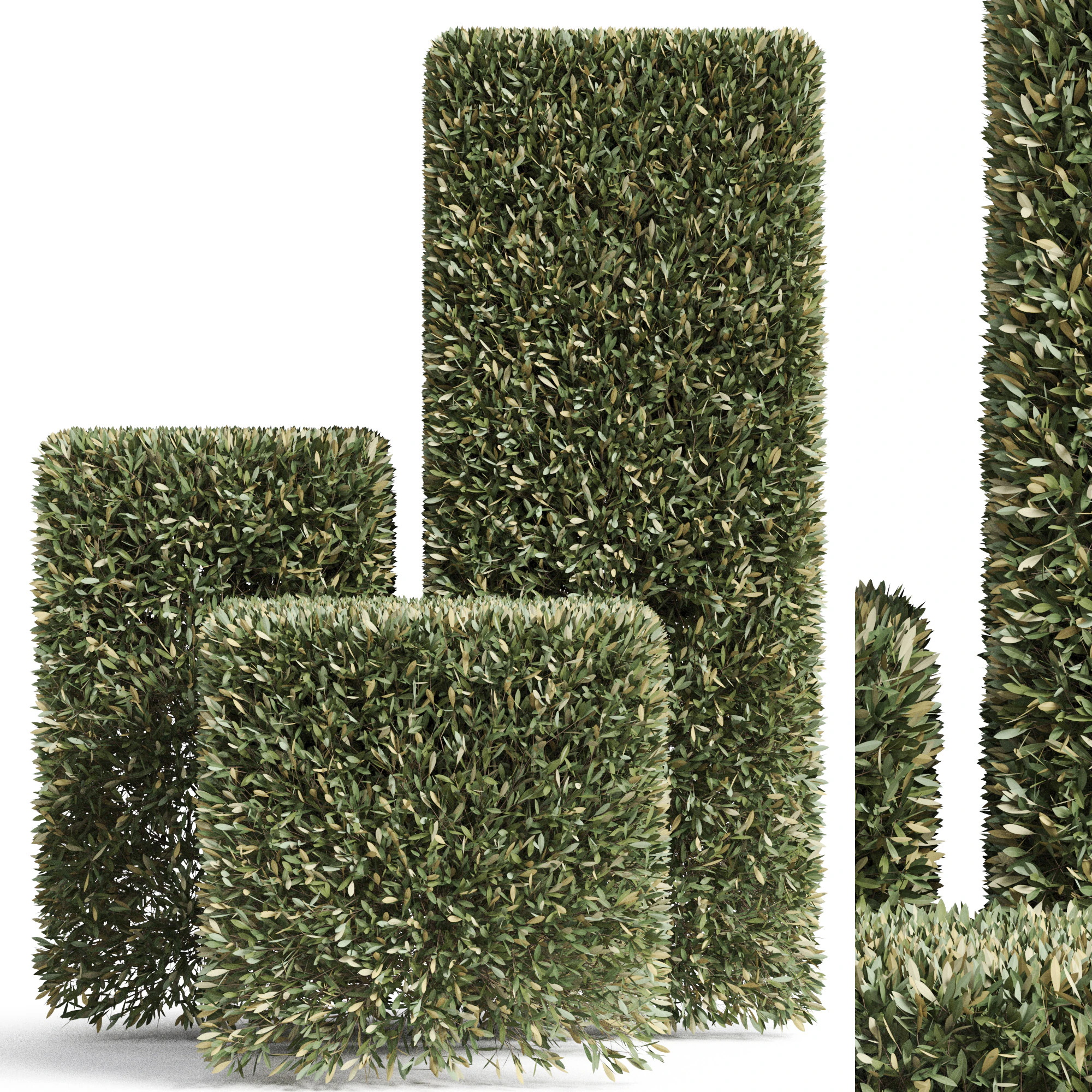 Plants collection 858 3D Model .c4d .max .obj .3ds .fbx .stl .blend