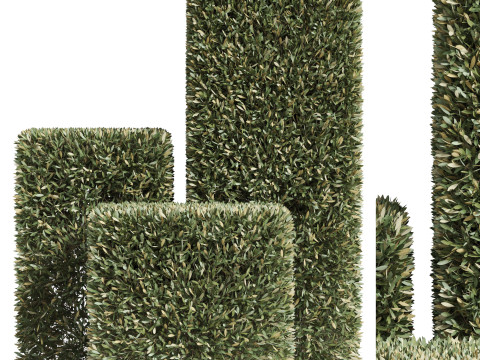 Plants collection 858 3D Model