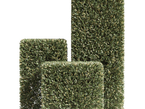 Plants collection 858 Modelo 3D