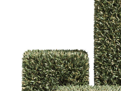 Plants collection 858 Modelo 3D