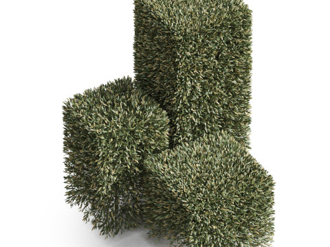 Plants collection 858 Modelo 3D