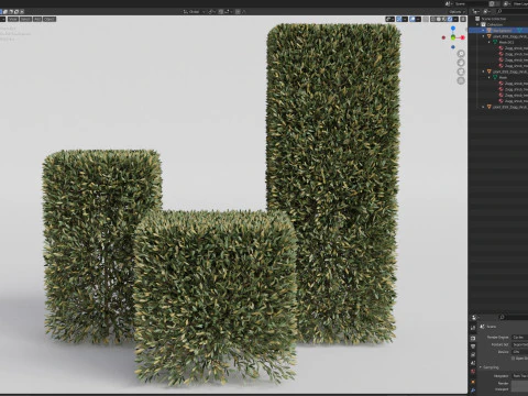 Plants collection 858 3D Model