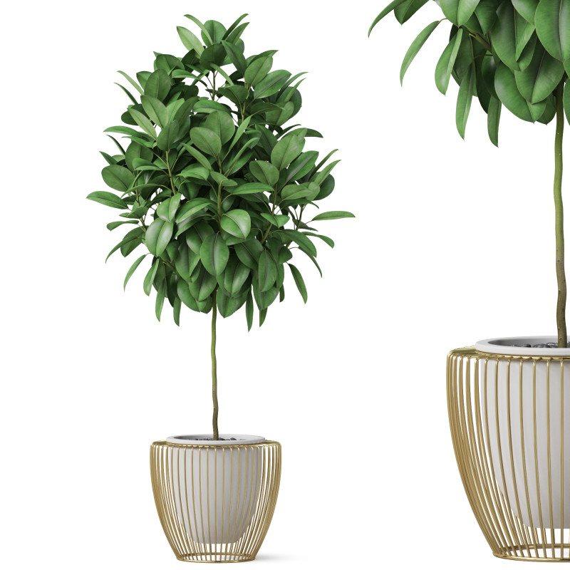 Plants collection 859 3D Model .c4d .max .obj .3ds .fbx .stl .blend