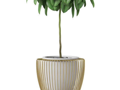 Plants collection 859 3D Model