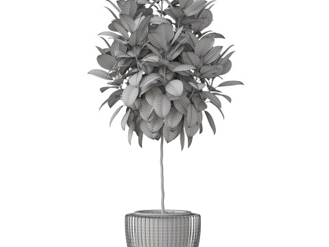 Plants collection 859 3D Model