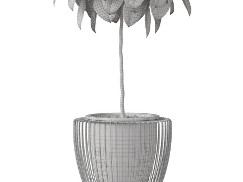 Plants collection 859 3D Model