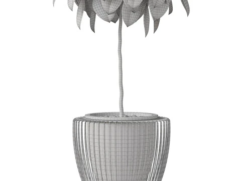 Plants collection 859 3D Model