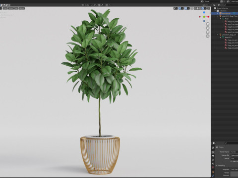 Plants collection 859 3D Model