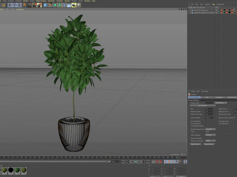 Plants collection 859 3D Model