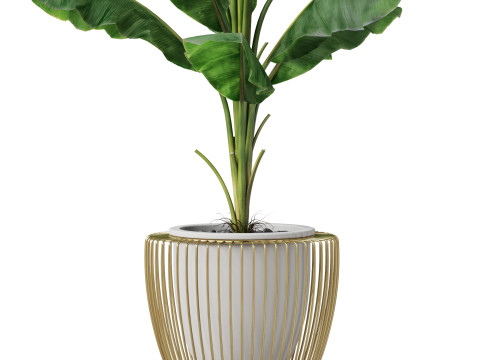 Plants collection 860 Modelo 3D