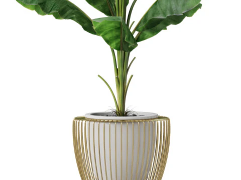 Plants collection 860 3D Model