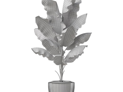Plants collection 860 Modelo 3D