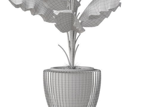 Plants collection 860 Modelo 3D