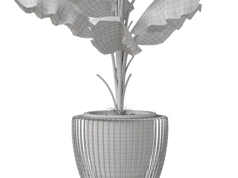 Plants collection 860 3D Model